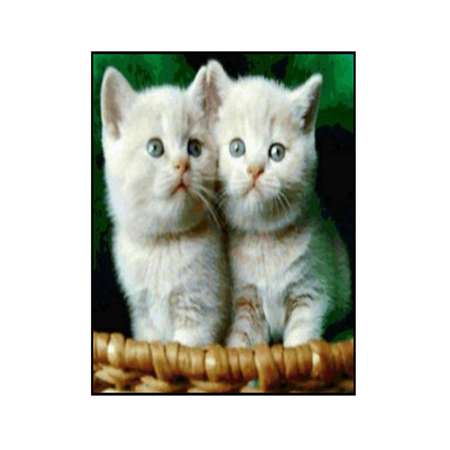Алмазная мозаика Seichi Два котёнка в корзине 30х40 см