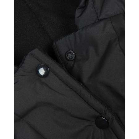 Куртка для собак Зоозавр черная 65