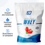 Протеин сывороточный 2SN Whey Protein 25 порций 900 г Клубника