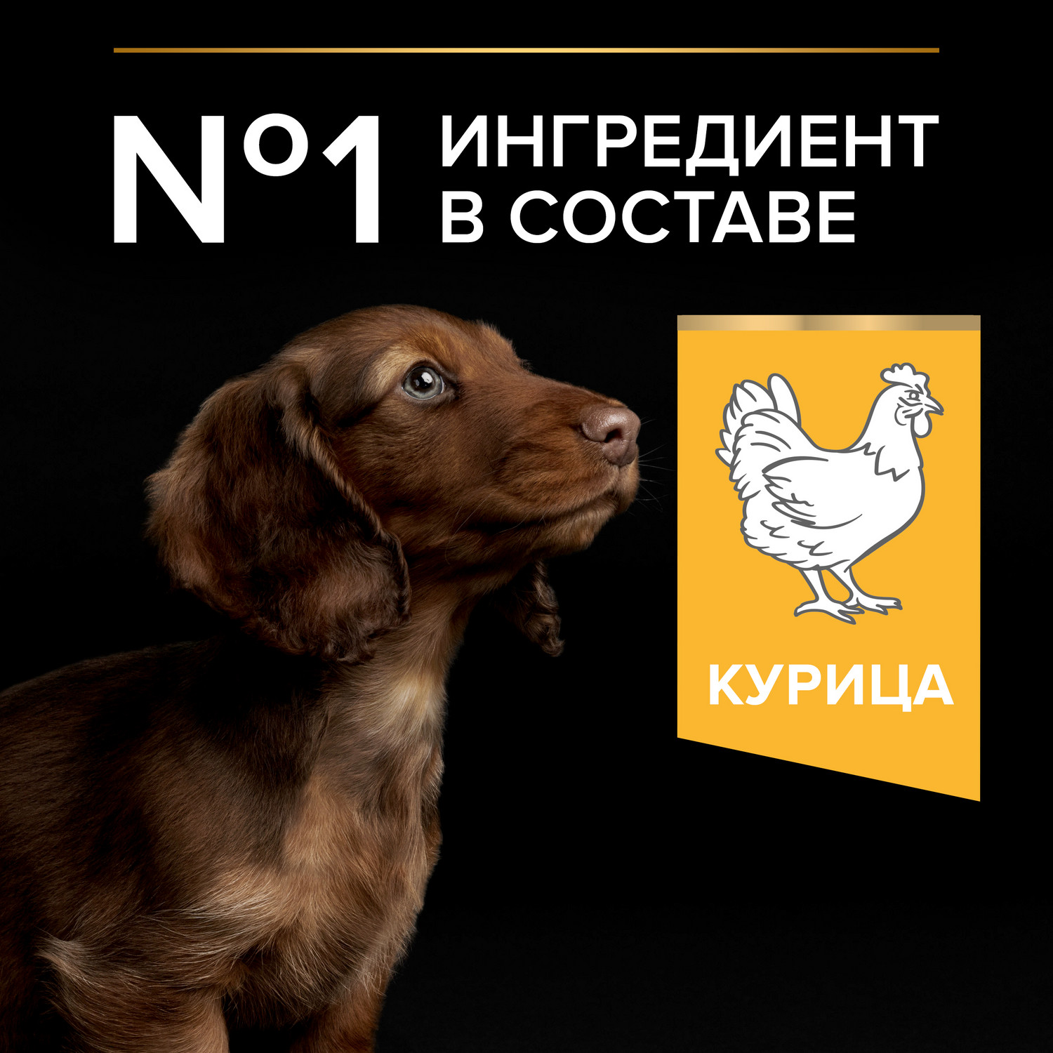 Сухой корм для собак PRO PLAN 3 кг курица (для беременных и кормящих, для здоровья полости рта, полнорационный) - фото 3