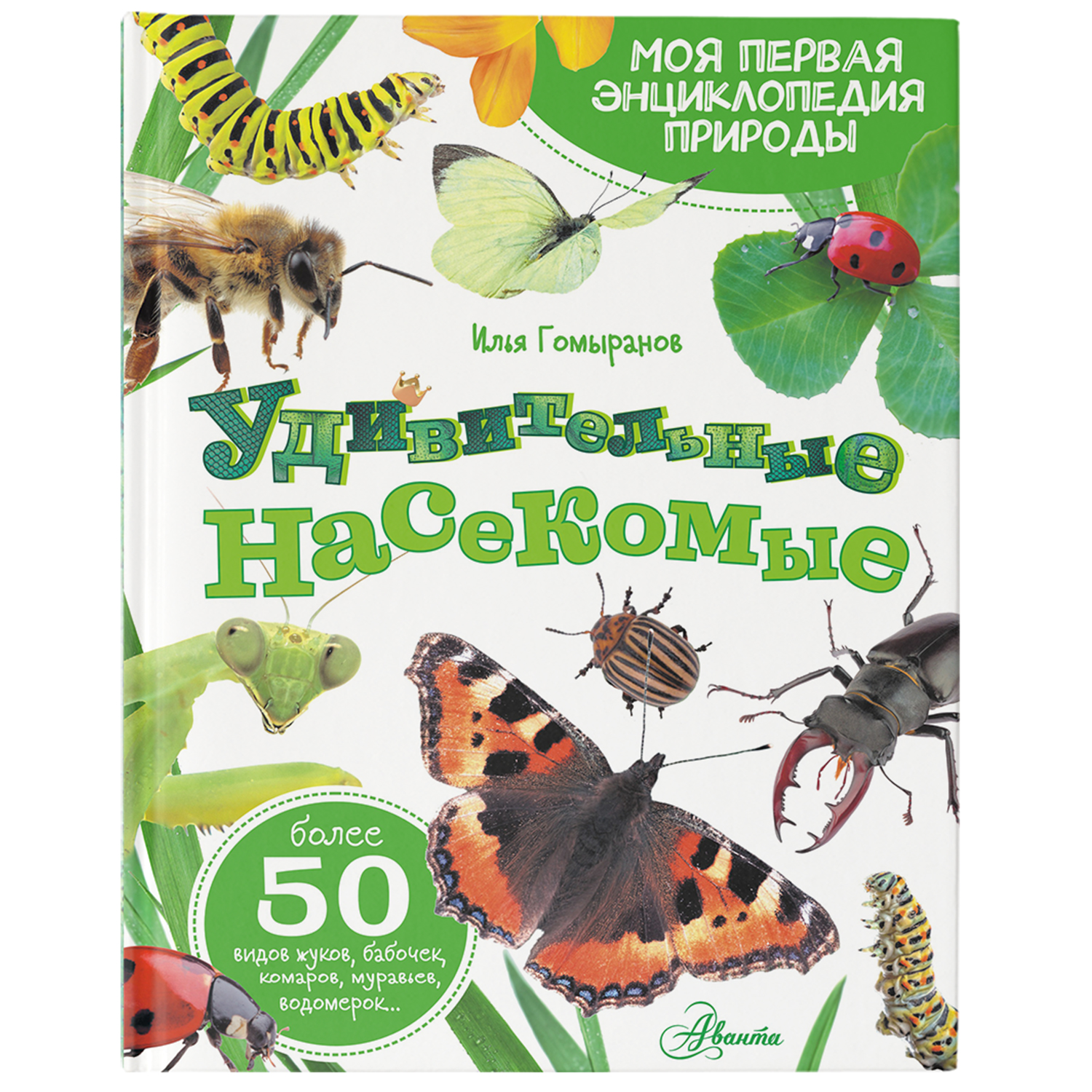 Энциклопедия Удивительные насекомые купить по цене 726 ₽ в  интернет-магазине Детский мир