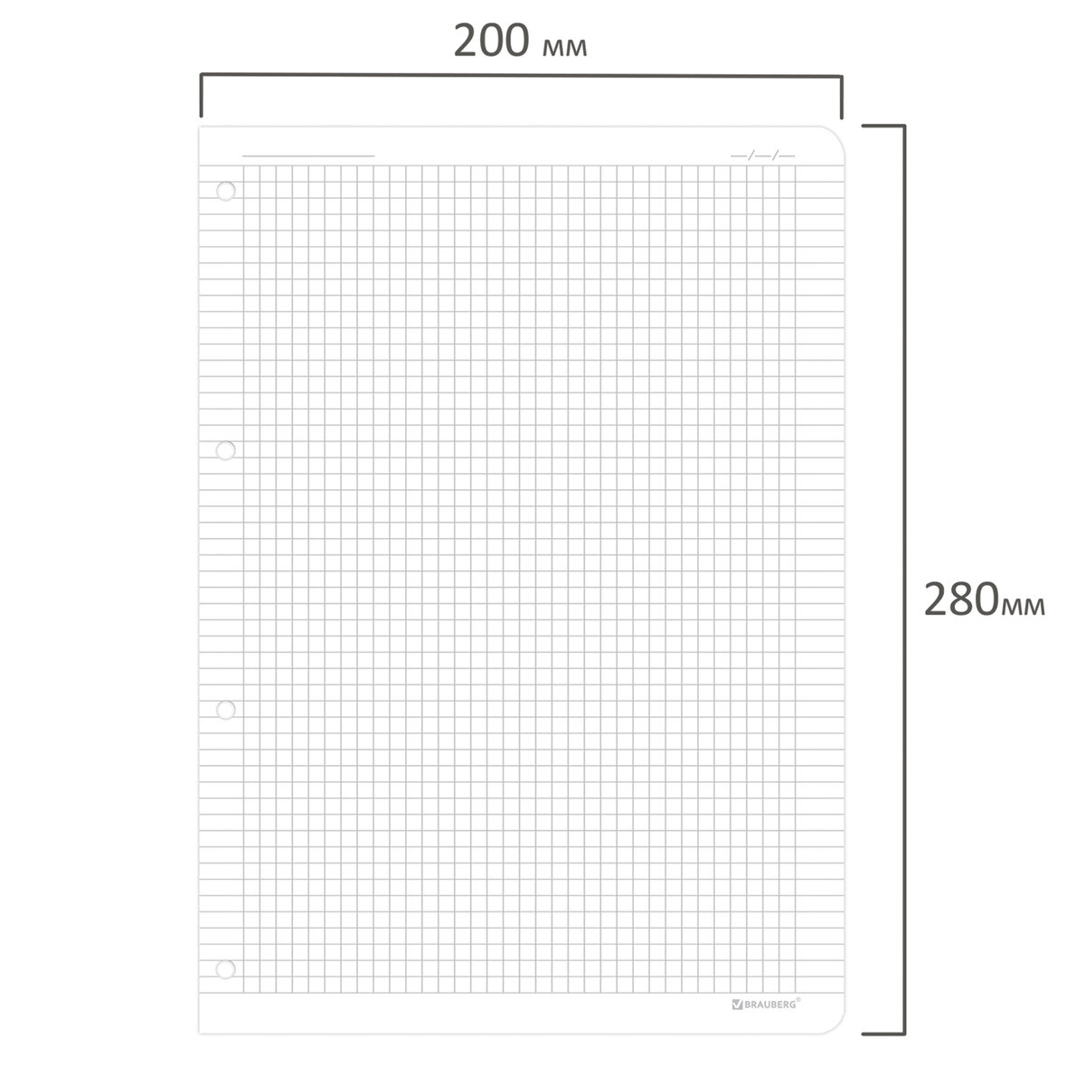 Сменный блок Brauberg для тетради на кольцах А4 120 листов - фото 3