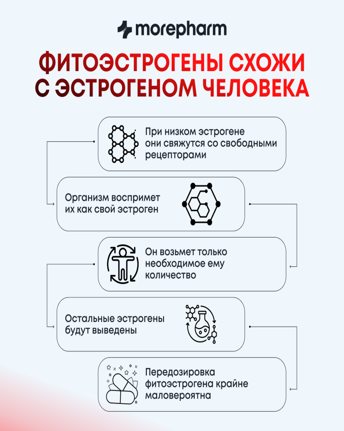 БАД morepharm Цимицифуга фитоэстроген при климаксе и менопаузе - фото 4