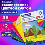 Картон цветной Brauberg А4 для творчества мелованный Extra 48 листов 12 цветов 20х29см