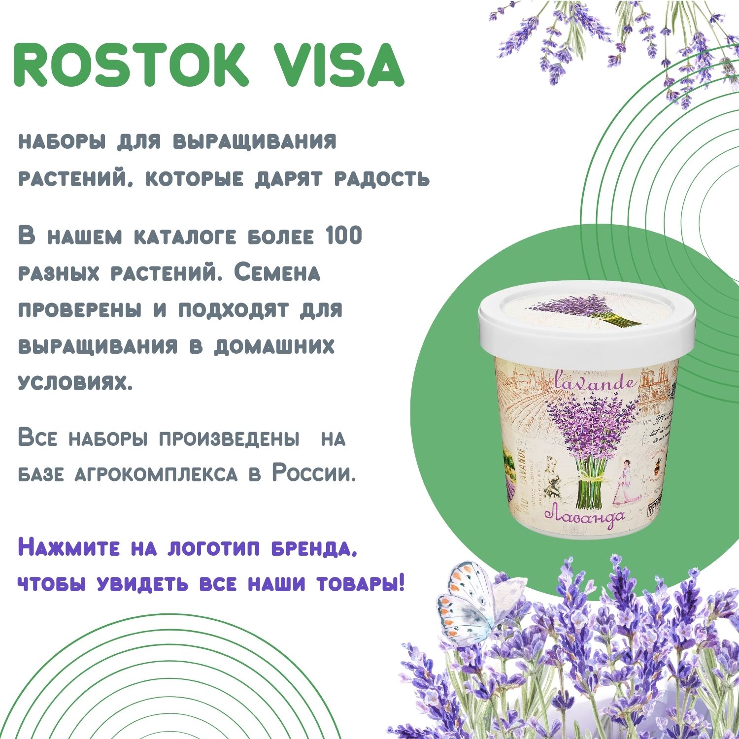 Набор для выращивания растений Rostok Visa Вырасти сам Розмарин в подарочном горшке - фото 7