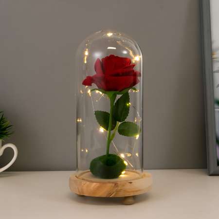 Ночник RISALUX Колба с алой розой LED