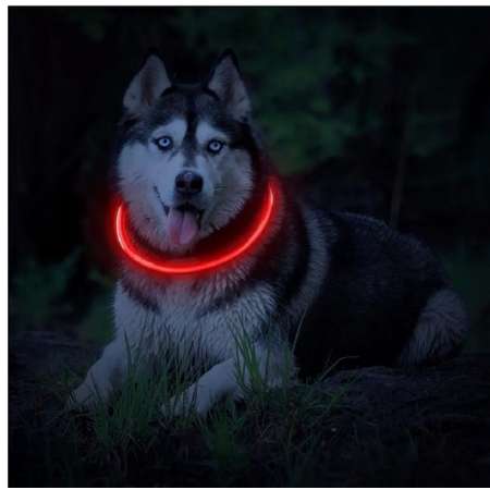 Ошейник для собак ZDK ZooWell со светодиодами красный 70 см