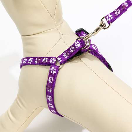 Комплект поводок и шлейка Пижон прошитый Лапки ширина 1 см поводок 120 см шлейка 23-35 см фиолетовый