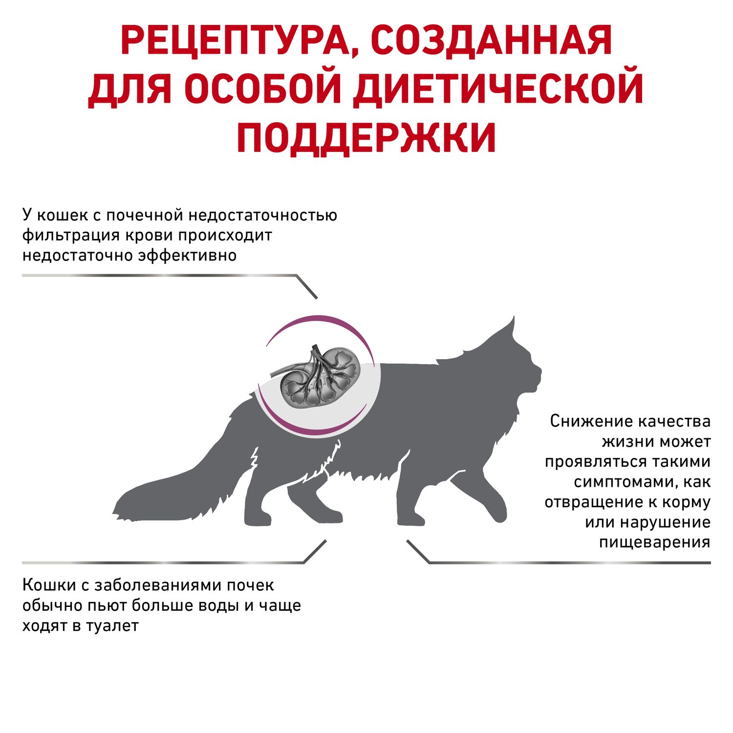 Корм для кошек ROYAL CANIN Renal Special RSF 26 с хронической почечной недостаточностью 0.4кг - фото 3