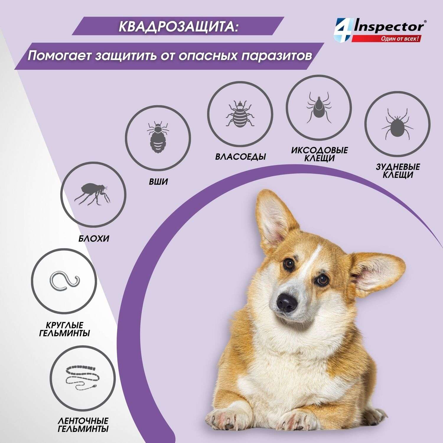 Капли для собак Inspector Quadro 10-25кг от наружных и внутренних паразитов 2.5мл - фото 4