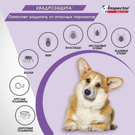 Капли для собак Inspector Quadro 10-25кг от наружных и внутренних паразитов 2.5мл