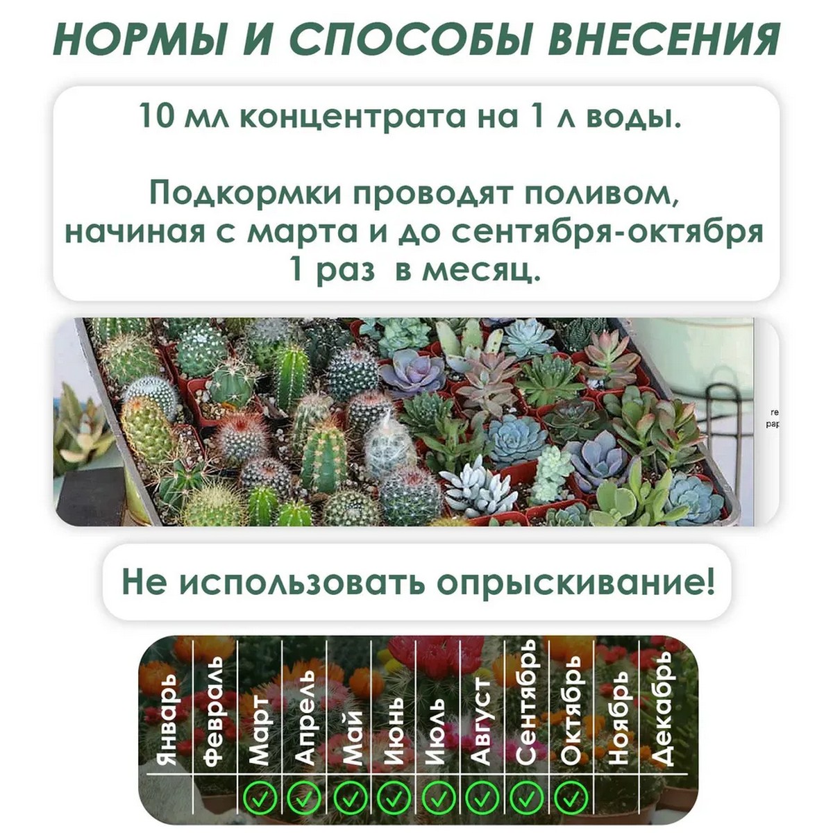 Удобрение Буйские удобрения Цветочный рай для Кактусов и Суккулентов 200мл - фото 5