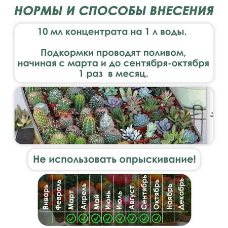 Удобрение Буйские удобрения Цветочный рай для Кактусов и Суккулентов 200мл