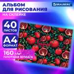 Альбом для рисования Brauberg в школу А4 40 плотных листов 160 г м2