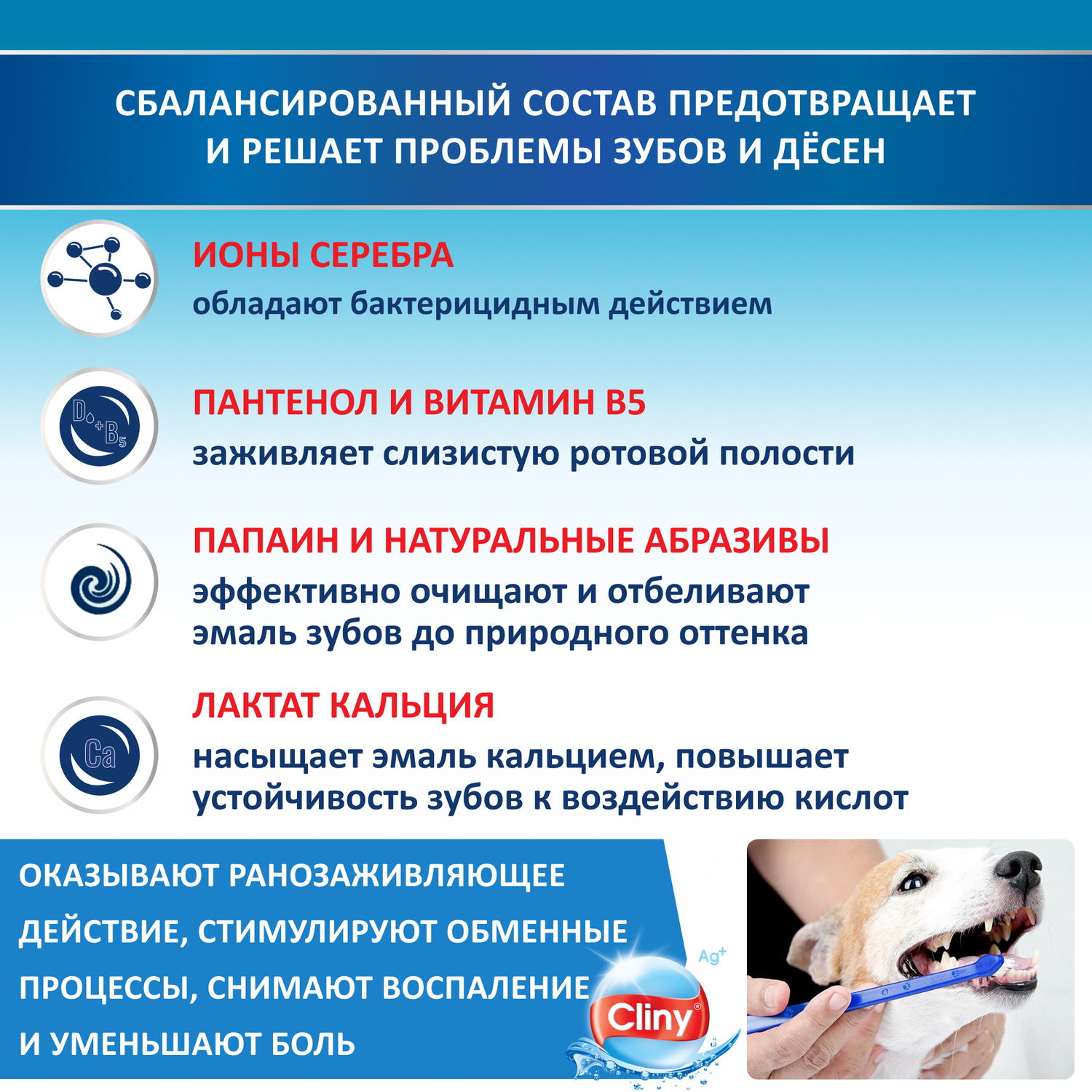 Зубная паста для животных Cliny Кальций+ 75мл - фото 4