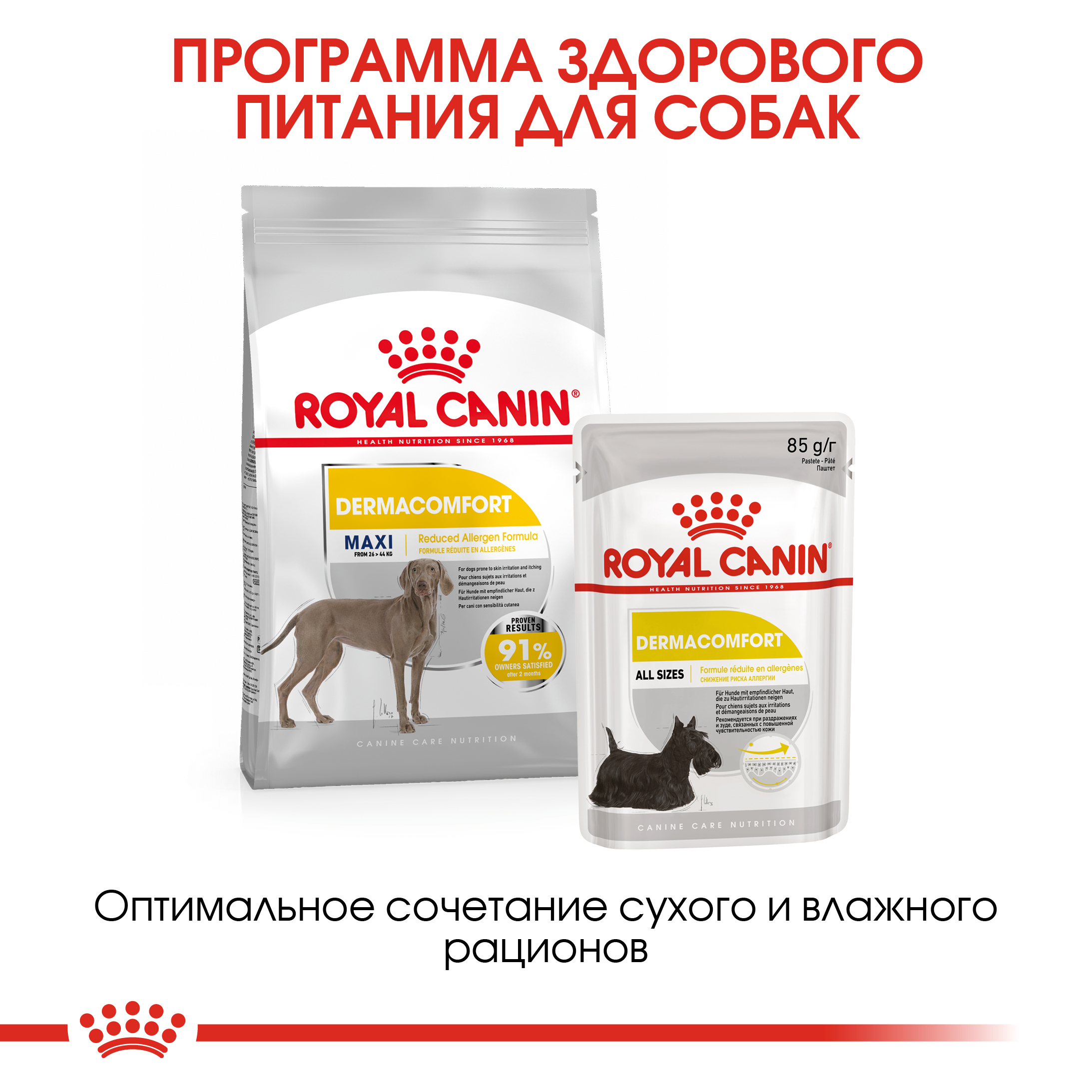 Корм для собак ROYAL CANIN Maxi Dermacomfort крупных пород склонных к кожным раздражениям и зуду 3кг - фото 7