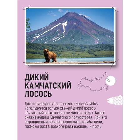 Кормовая добавка Лососевое масло Вивидус (VIVIDUS) для собак и кошек Омега-3 2х250 мл