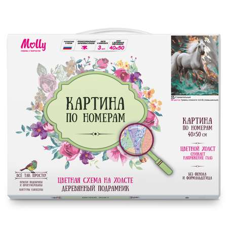 Картина по номерам Molly Стремительный