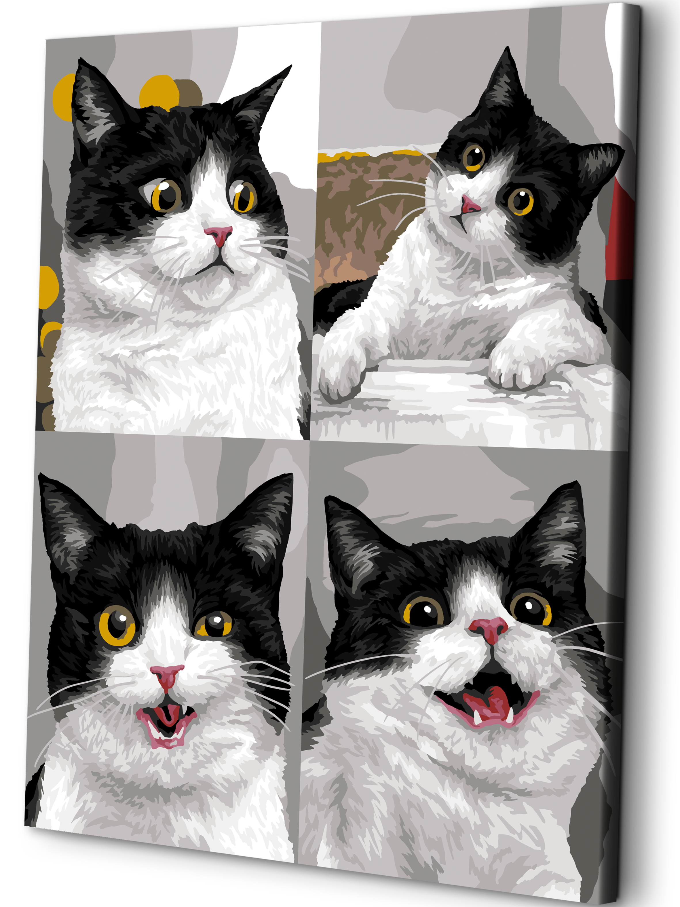 Картина по номерам Art sensation холст на подрамнике 40х50 см Кошачьи эмоции - фото 1