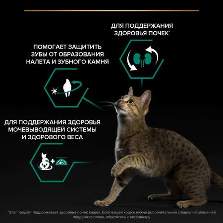 Корм сухой для кошек PRO PLAN 10кг с кроликом при стерилизации и кастрации