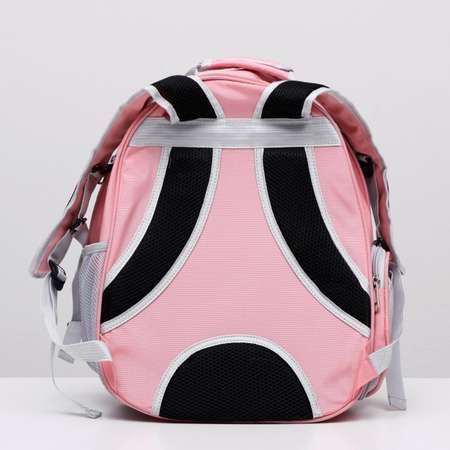Рюкзак для переноски животных Пижон прозрачный 31х28х42 см розовый