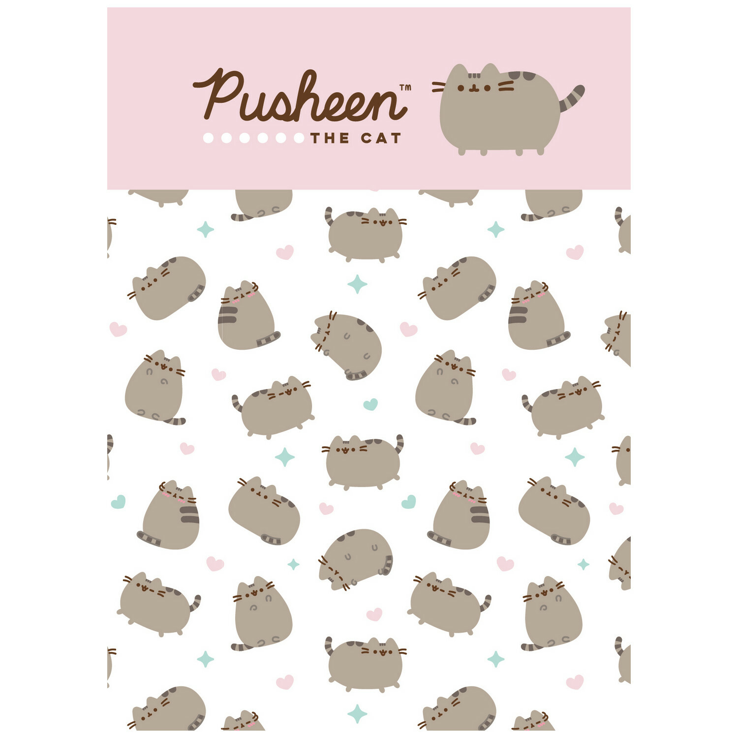 Записная книжка Pusheen А6 80л в ассортименте PS5/2 - фото 3