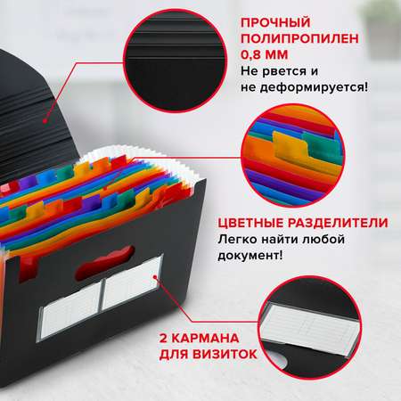 Папка-органайзер Brauberg для рисунков чертежей бумаг и документов