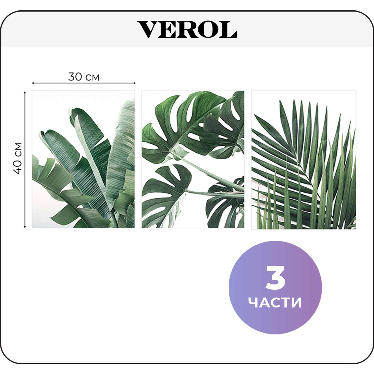 Набор интерьерных постеров VEROL Растения 3 шт - фото 2