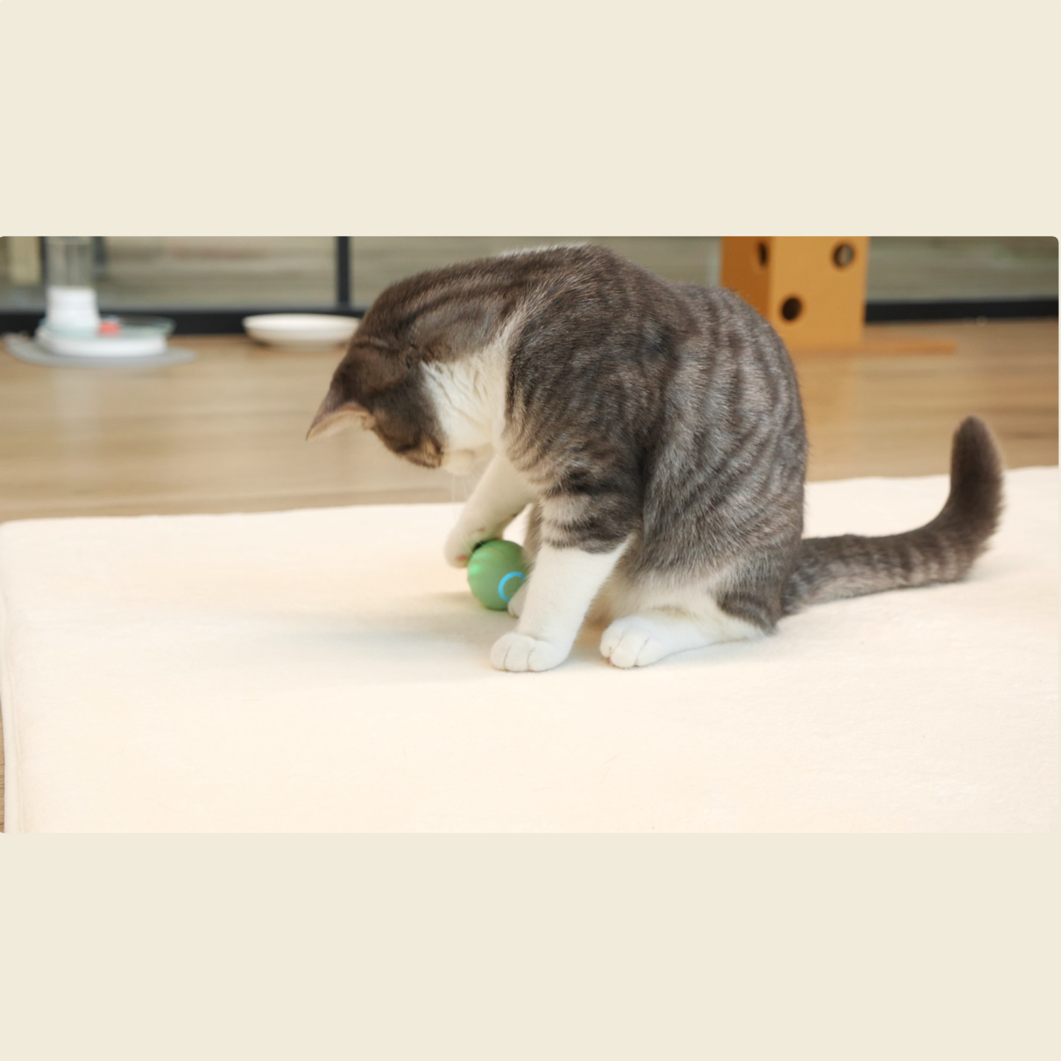 Интерактивная игрушка Cheerble мячик для кошек Ice Cream Ball Green - фото 4