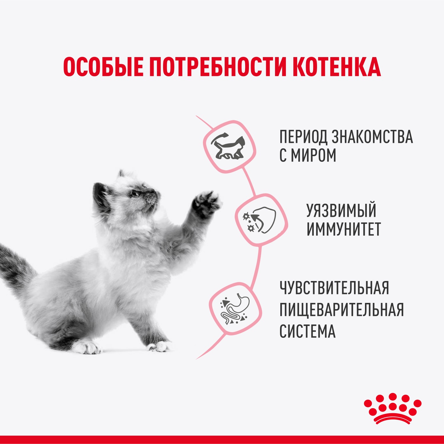 Корм для котят Royal Canin 85г Kitten Sterilised соус для стерилизованных котят пауч - фото 3