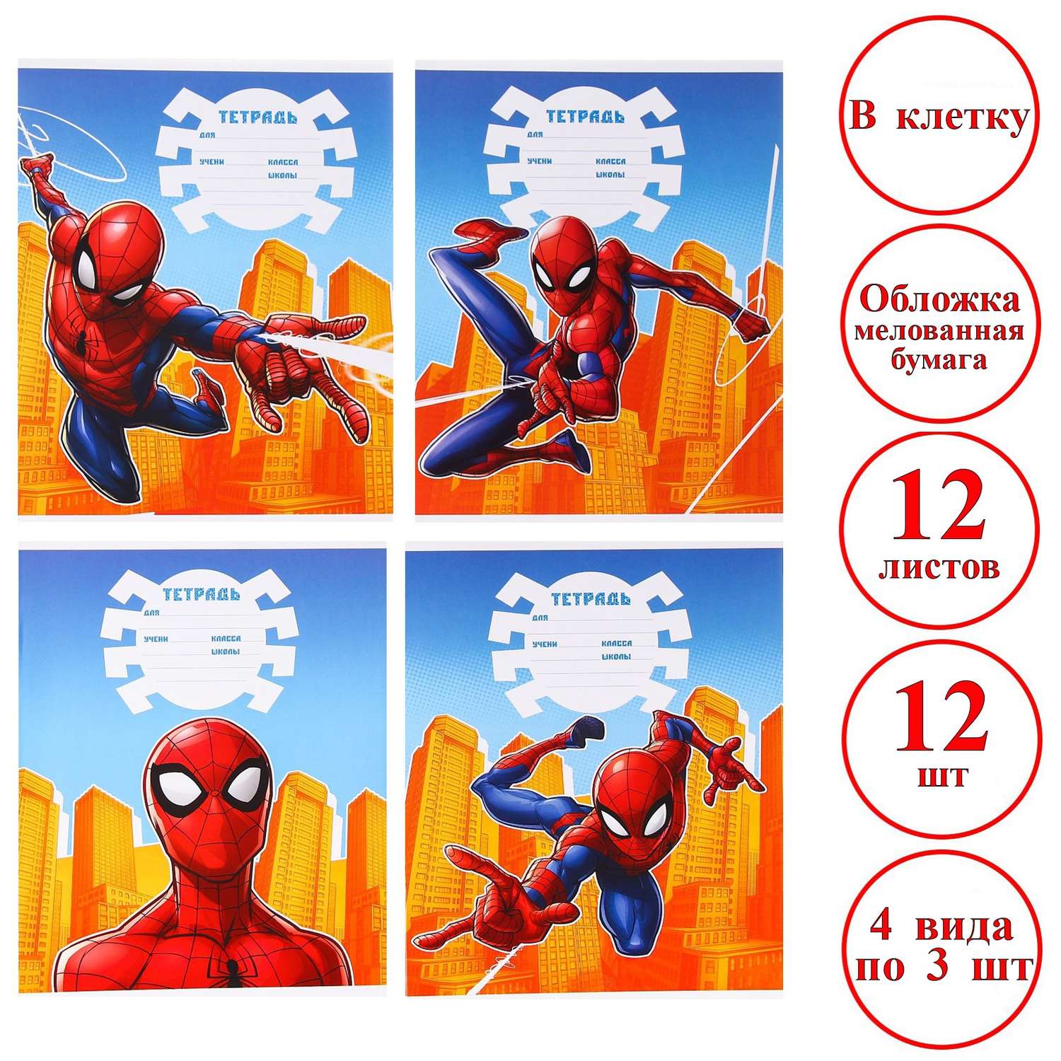 Комплект тетрадей MARVEL в клетку Человек-паук 12 листов 12 шт - фото 1