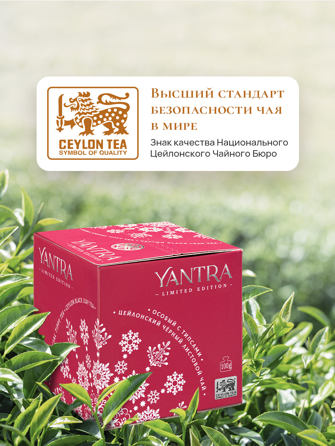 Чай Limited Edition Yantra чёрный лист с типсами стандарт Extra Special Tippy Tea 100 г - фото 2