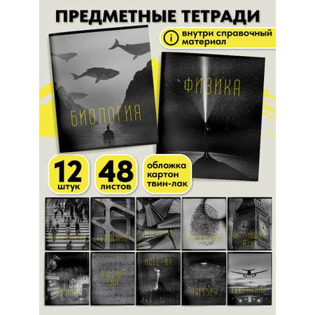 Комплект тетрадей SCHOOLFORMAT 48 листов А5 предметные 12 штук школьные