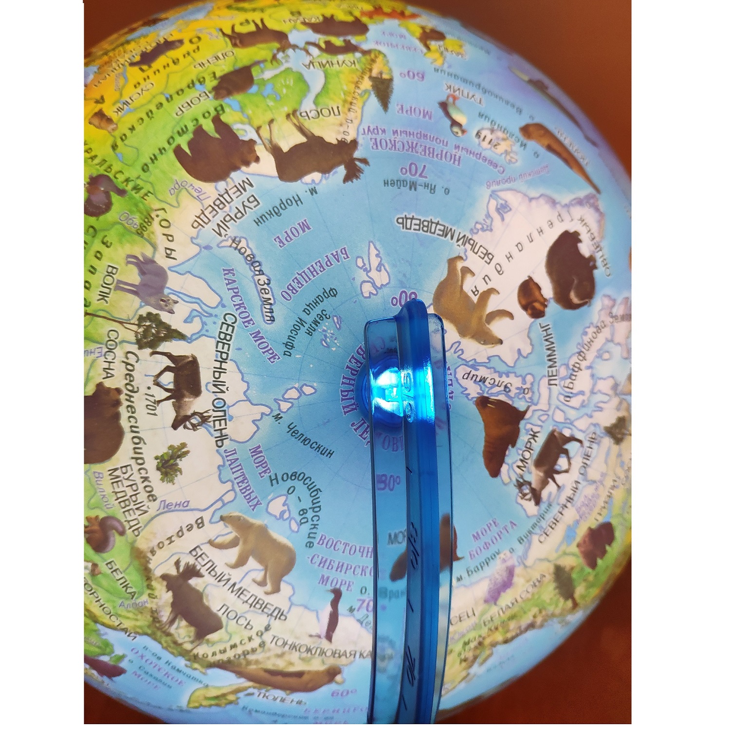 Глобус Globen Зоогеографический детский с LED-подсветкой 21 см - фото 5