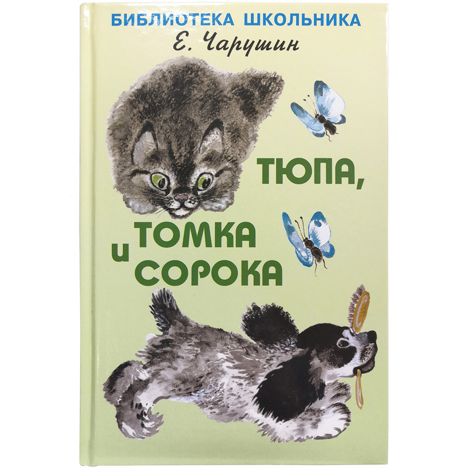 Книга Искатель Тюпа Томка и сорока - фото 1