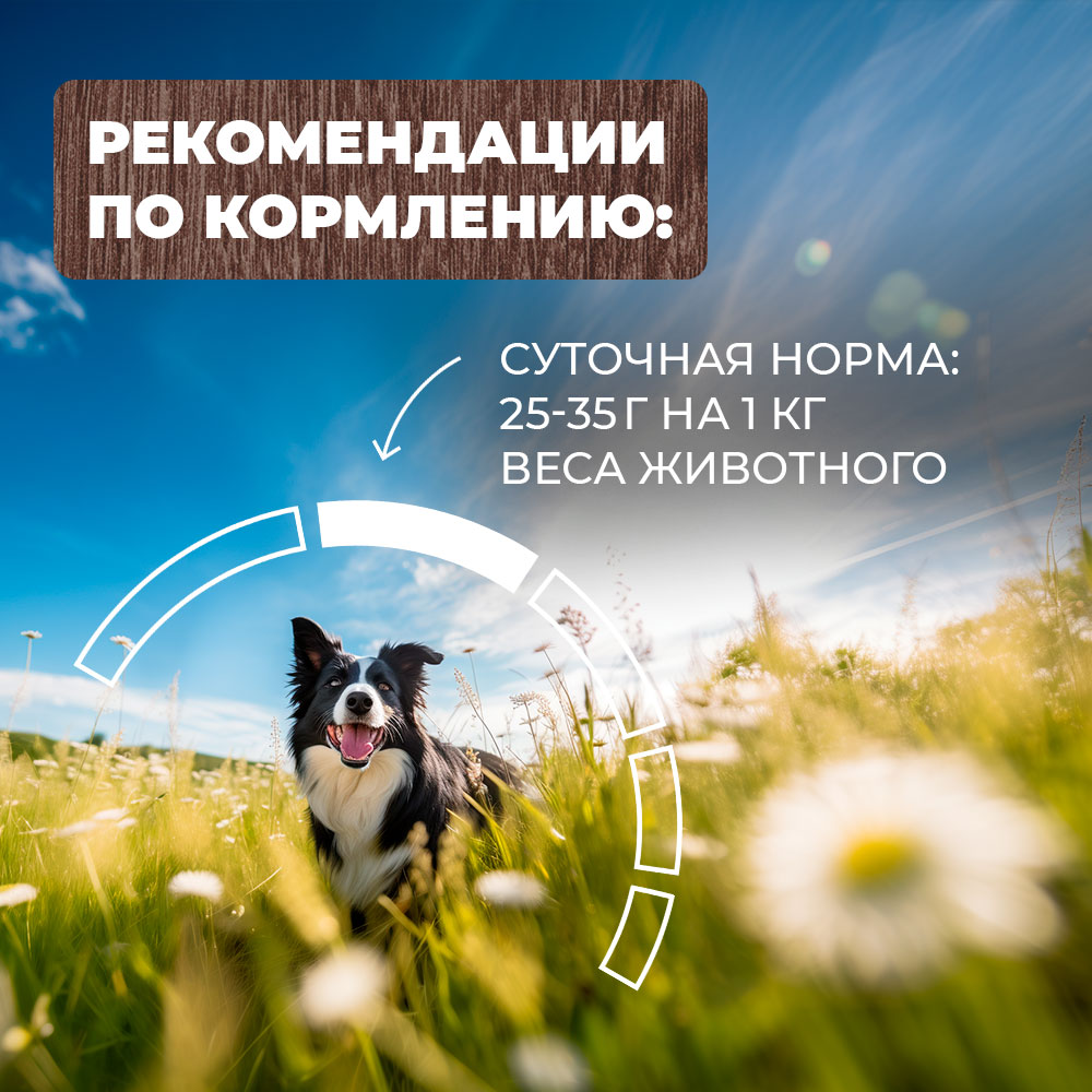 Корм для собак Родные корма курочка по-елецки 410г - фото 5