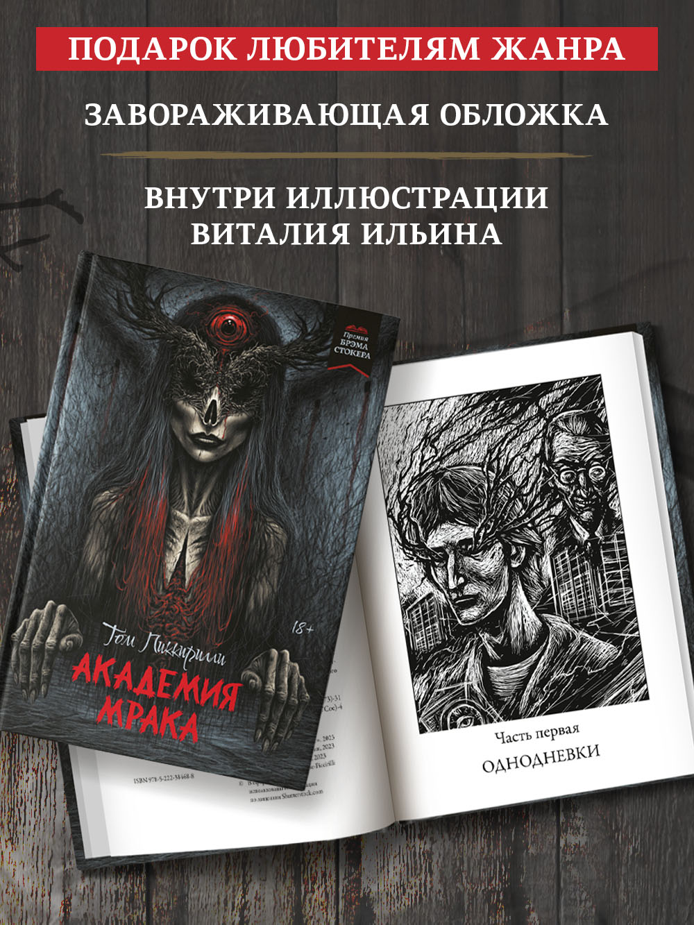 Книга Феникс Академия мрака - фото 5