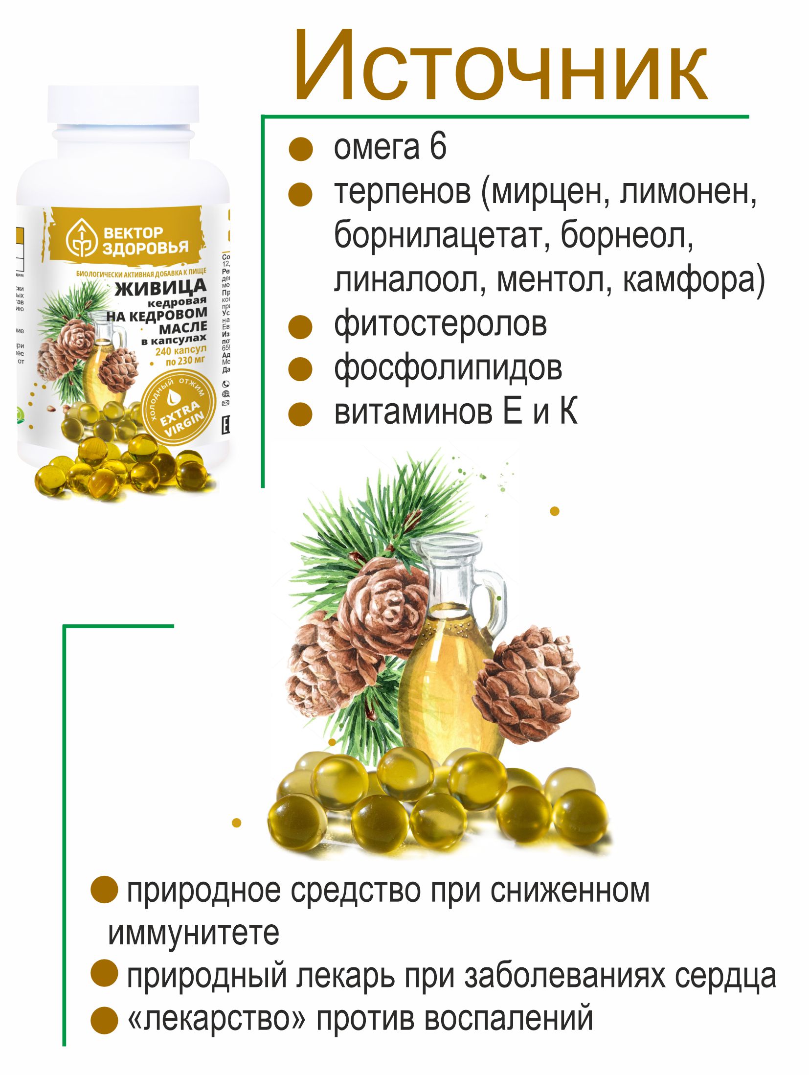 Растительные концентраты Алтайские традиции Живица кедровая на кедровом масле 240 капсул - фото 5