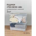 Комплект ящиков Econova для хранения TEX-BOX 48л 57х38х27.2см х2 шт.