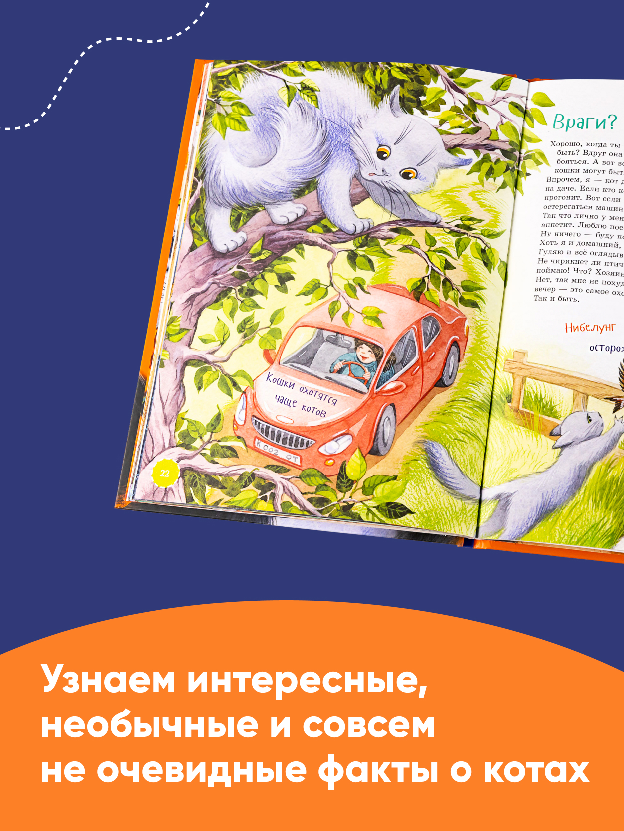 Книга Альпина. Дети Я кот купить по цене 490 ₽ в интернет-магазине Детский  мир