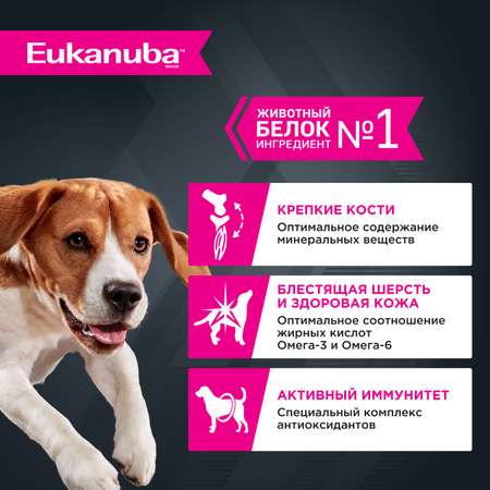 Корм для собак Eukanuba 100г с ягненком в соусе пауч