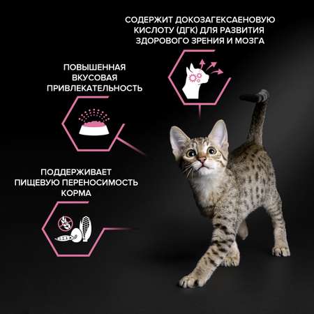 Корм сухой для котят PRO PLAN 1.5кг с индейкой при чувствительном пищеварении