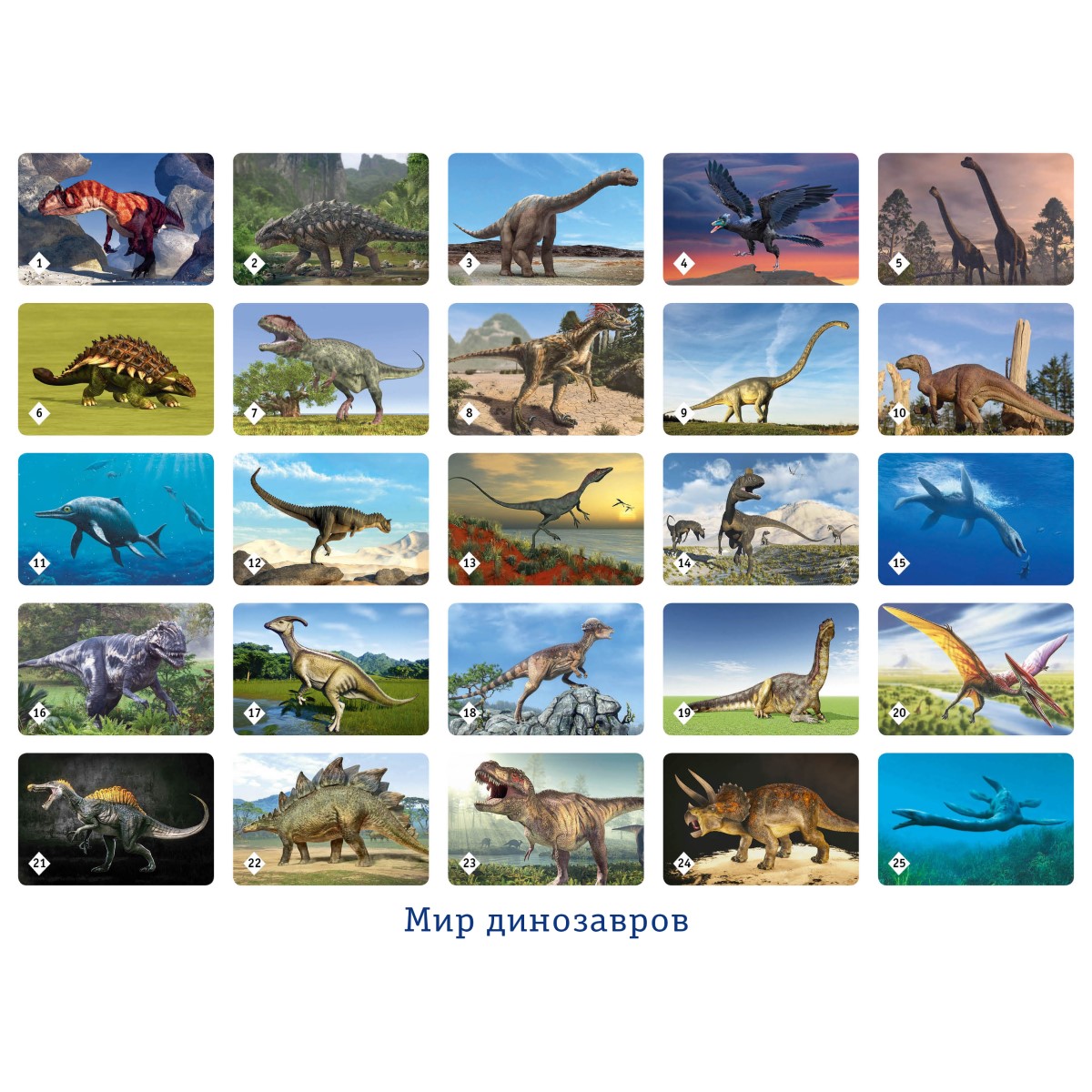 Настольные развивающие игры Нескучные игры для детей для всей семьи Мемо Мир динозавров - 3 шт - фото 3