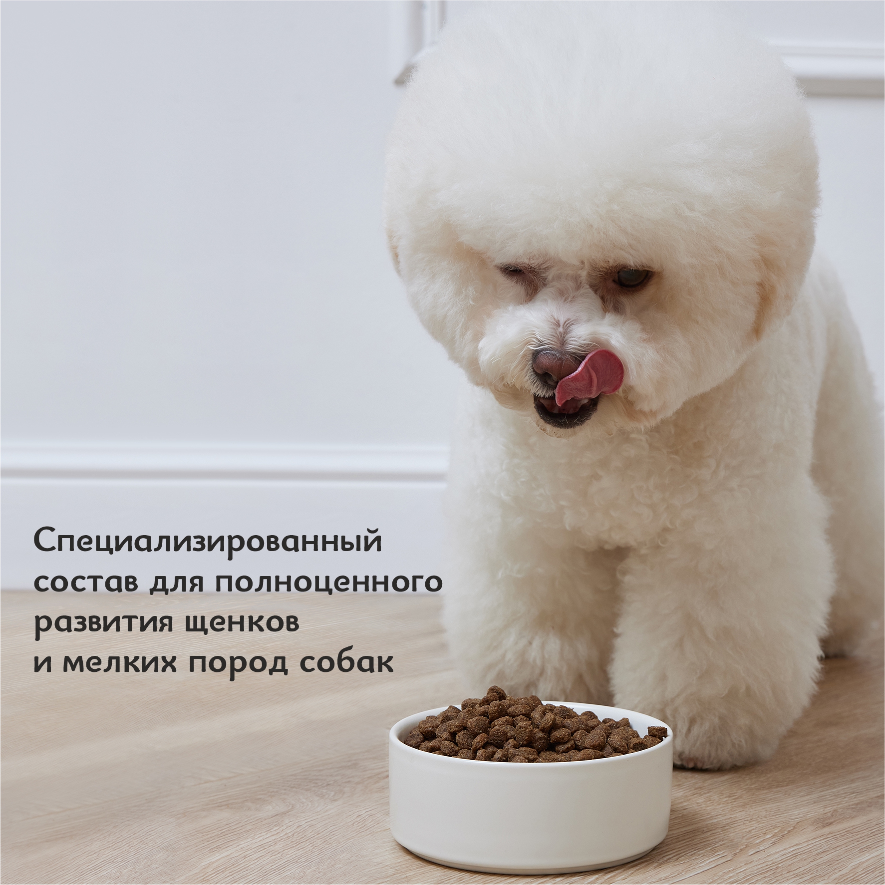 Корм для щенков Roybis 0.8кг с ягненком сухой полнорационный для мелких пород - фото 8