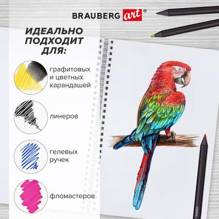 Скетчбук Brauberg А5 для рисования на спирали