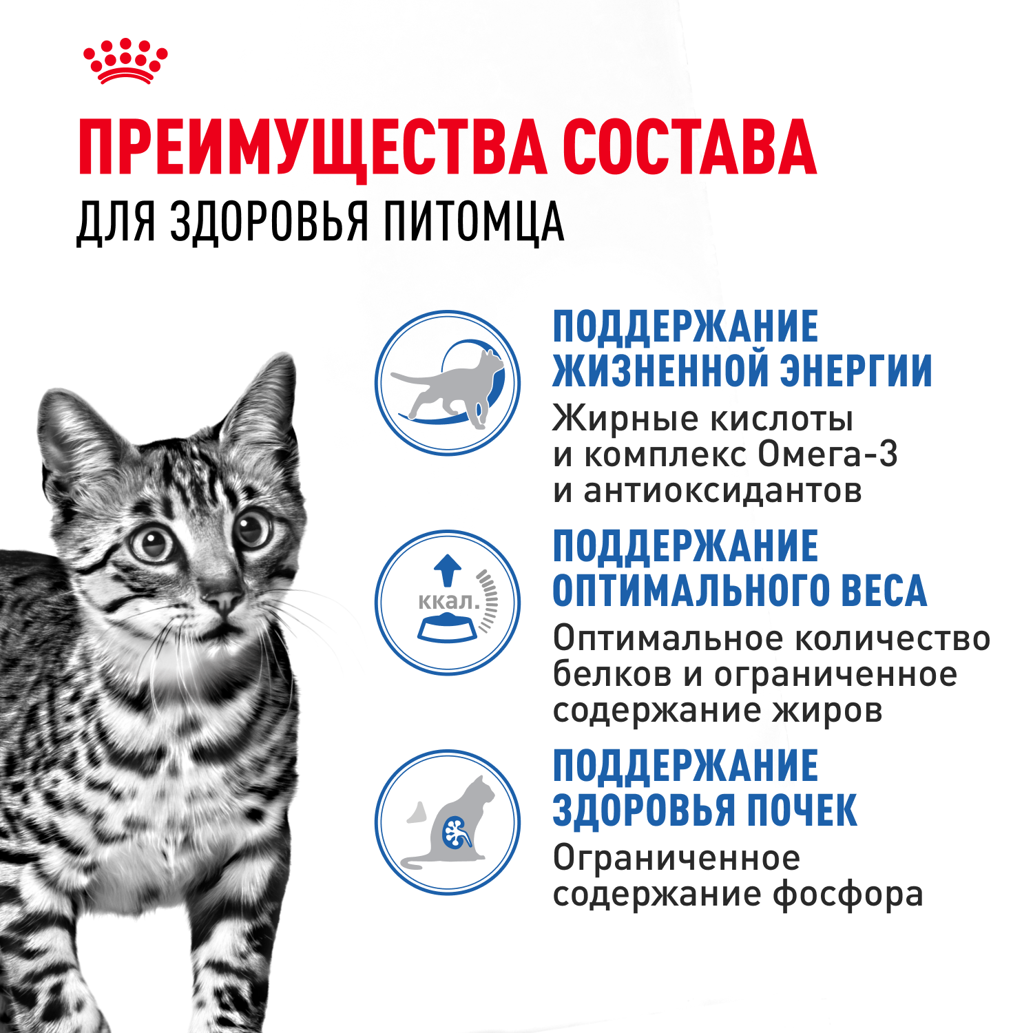 Корм для кошек ROYAL CANIN Indoor 85г для пожилых стерилизованных кошек 7+ желе пауч - фото 3