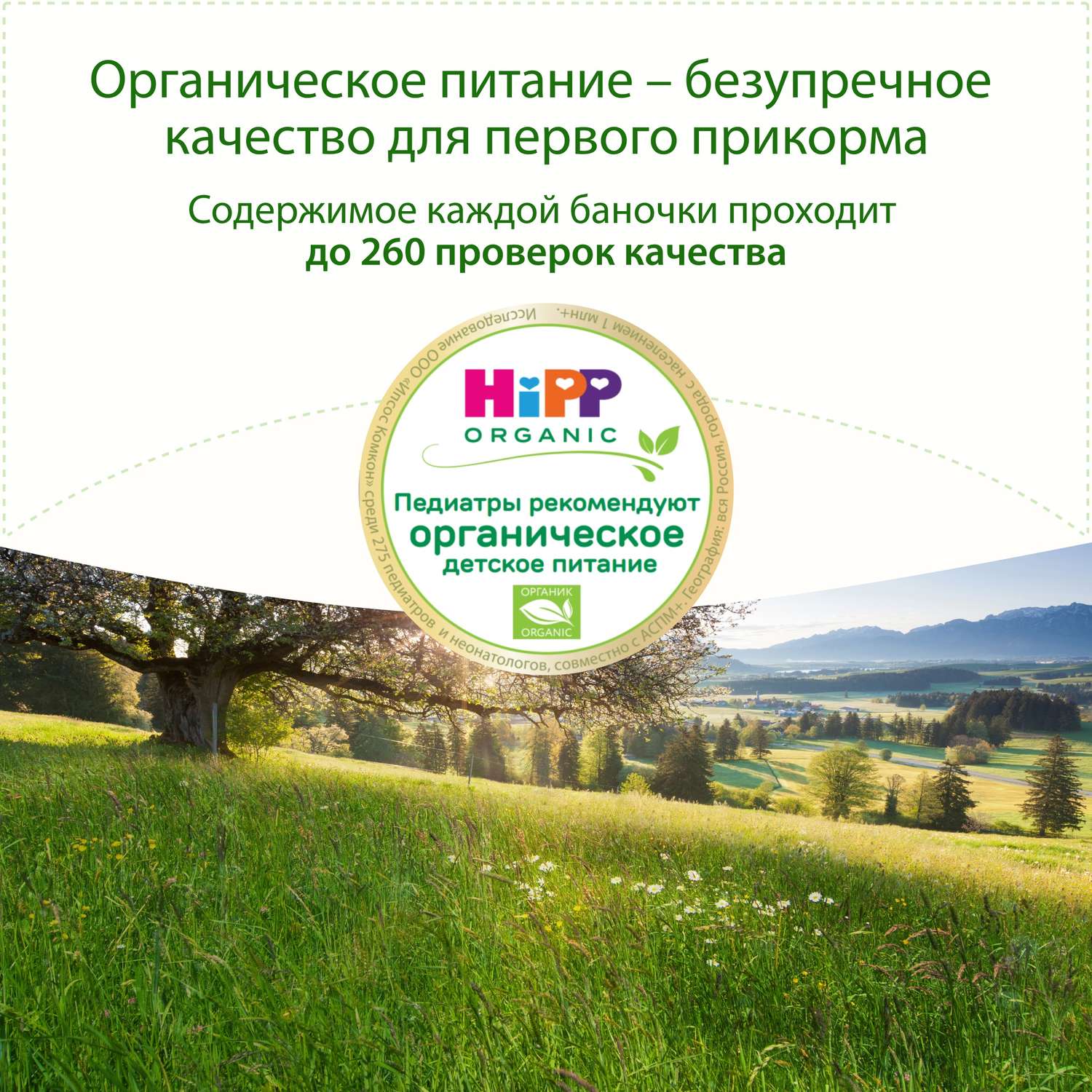Пюре Hipp яблоко-банан-печенье 190г с 6месяцев - фото 3