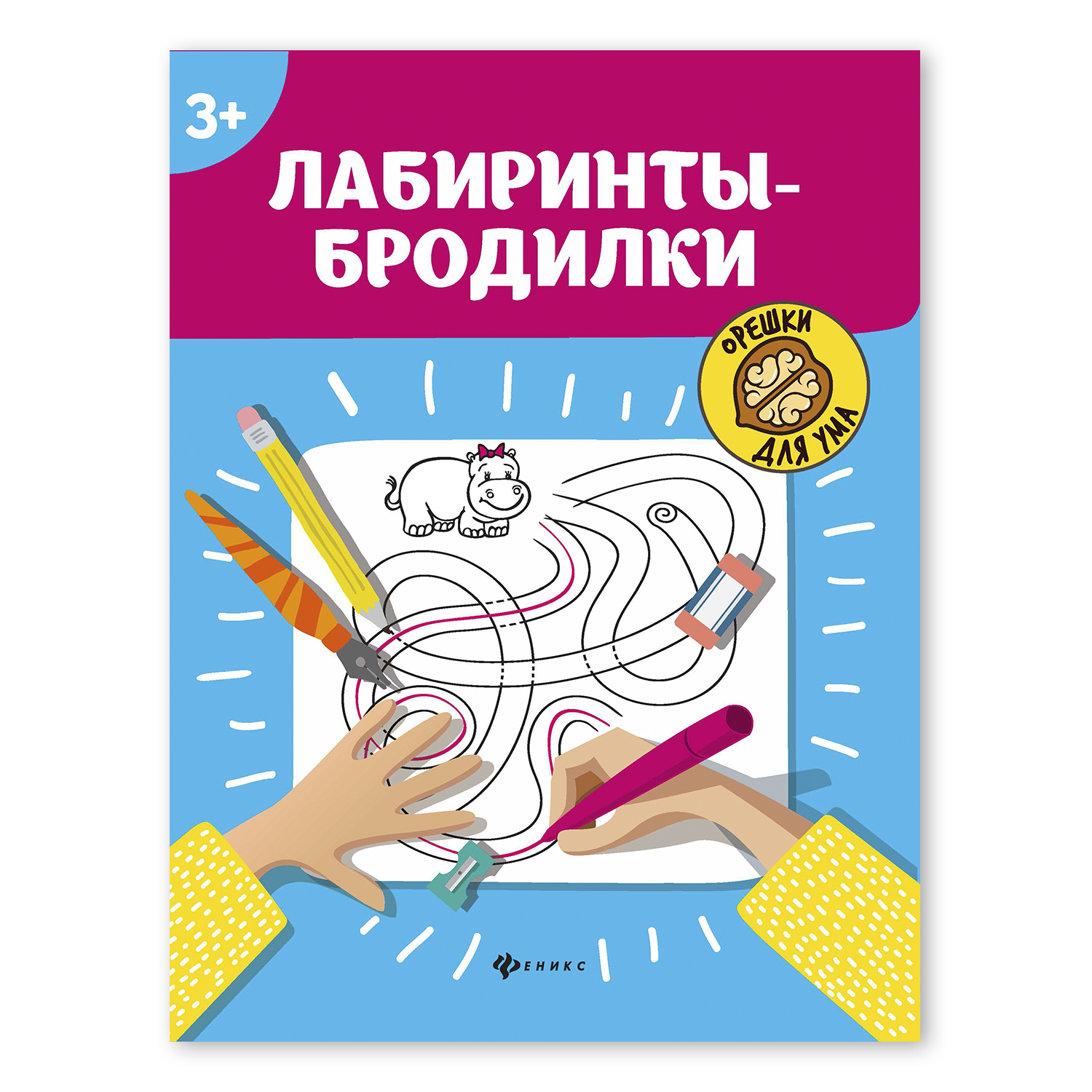 Книга Феникс Лабиринты-бродилки 3+ - фото 1