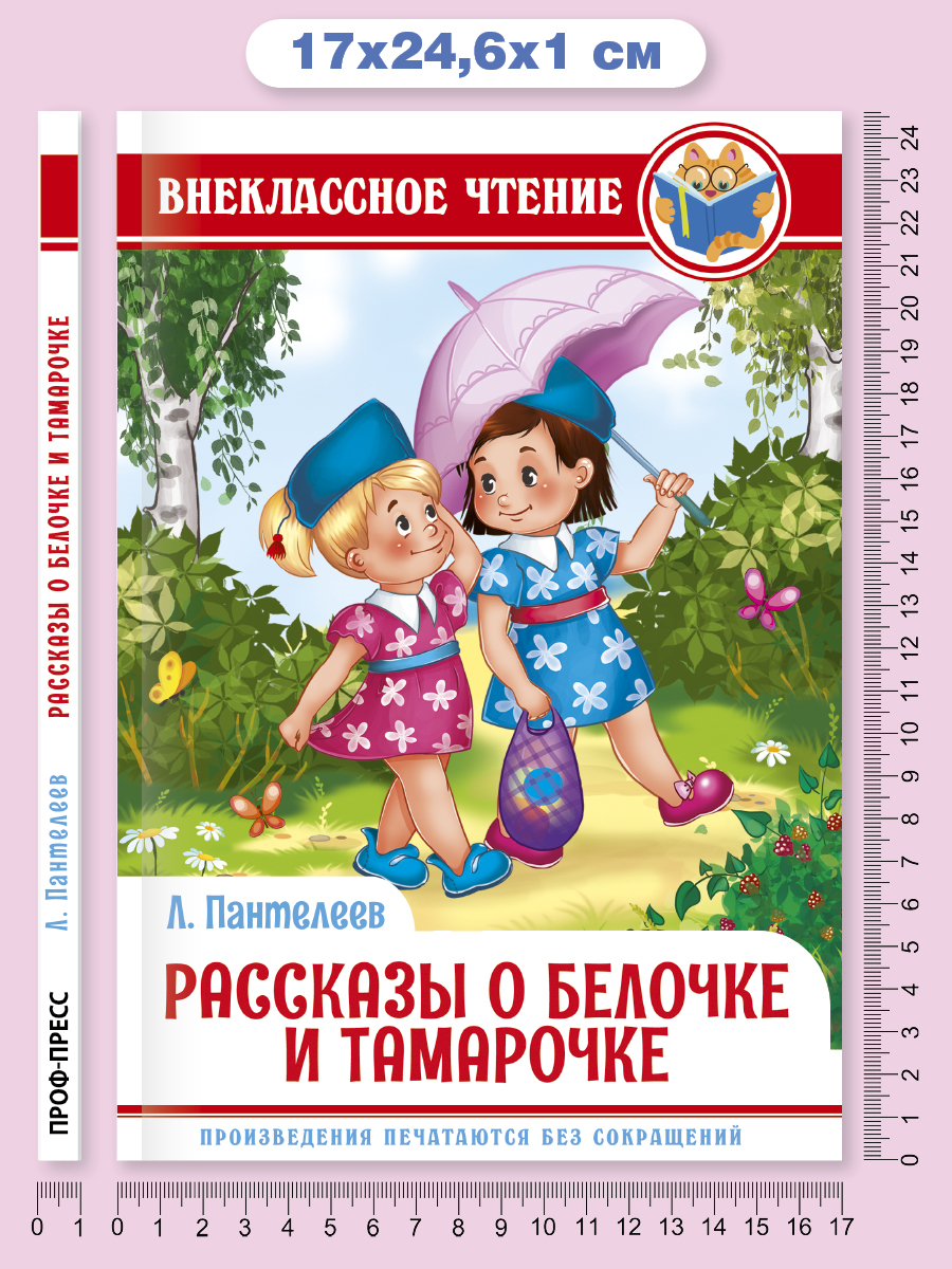 Книга Проф-Пресс внеклассное чтение. Л. Пантелеев Рассказы о белочке и Тамарочке 112 стр. - фото 6