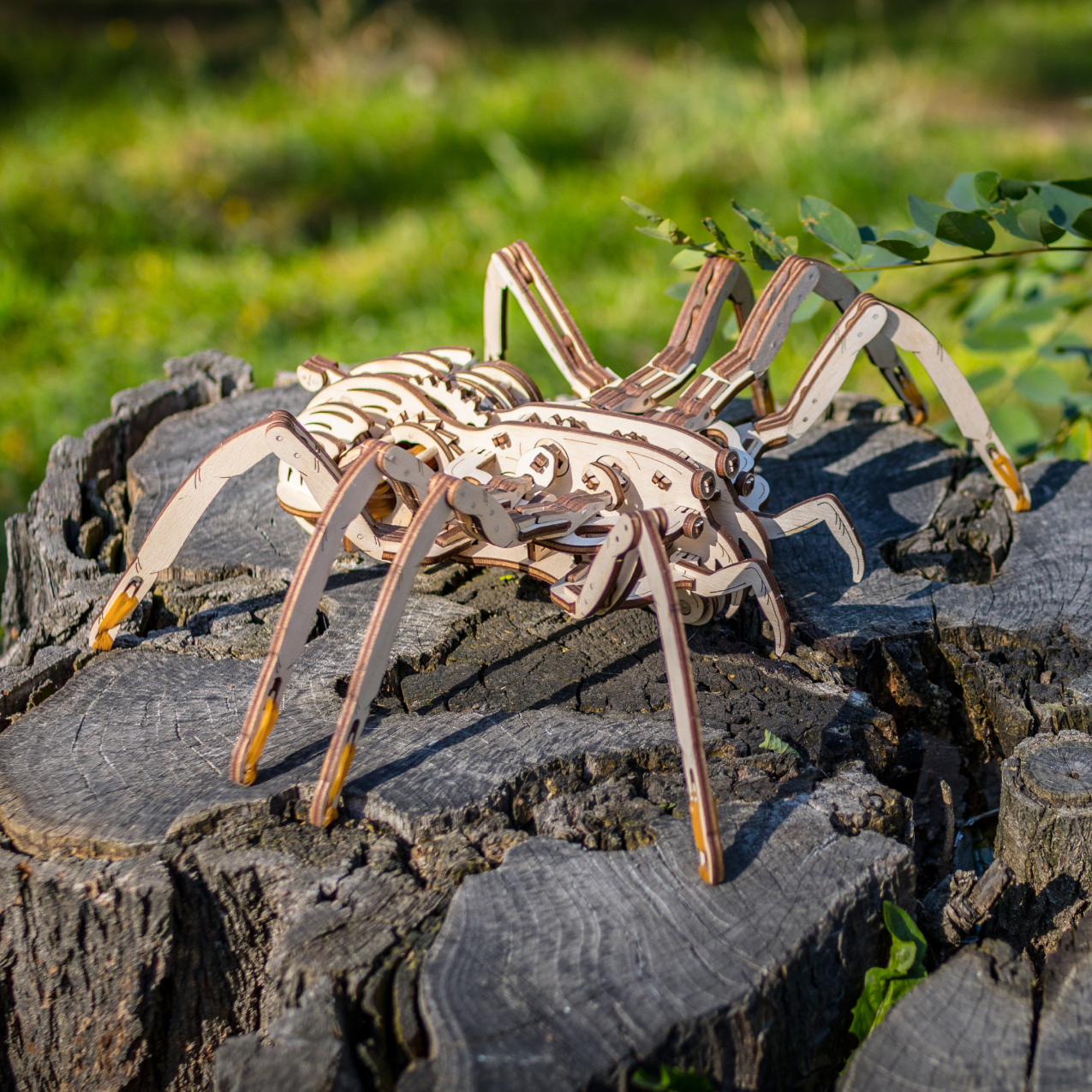 Конструктор Eco Wood Art (EWA) Spider Паук - фото 6